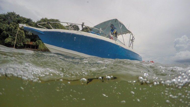 excursion pesca golfo montijo