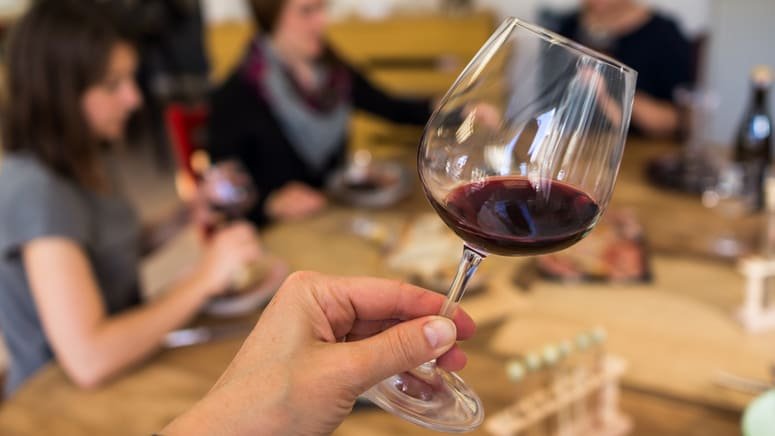 Viticultura cata de vinos El Penedés