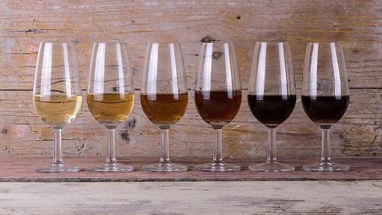 Visita bodega familiar cata E Puerto Santa María