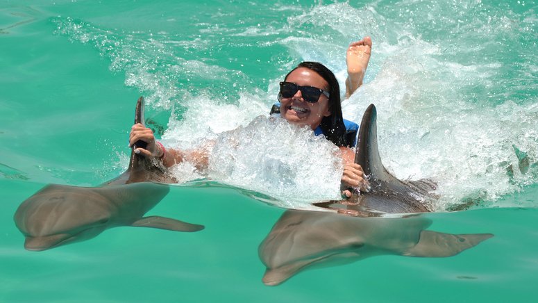 Nada delfines kayak Montego Bay
