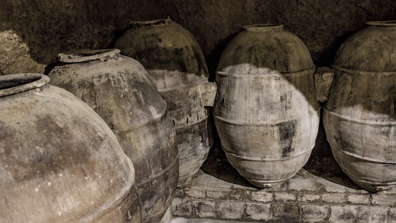 Excursión Requena bodegas vino desde Valencia