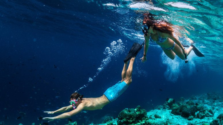 Snorkel lobos marinos La Paz