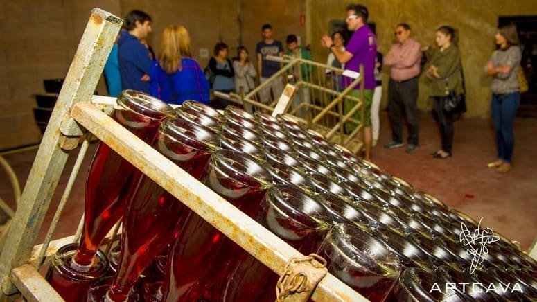 Tour completo de cava en la Masía Can Batlle