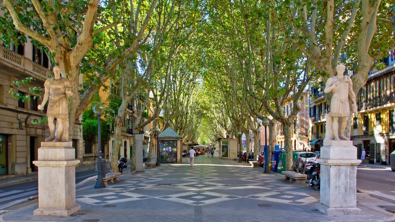 Tour privado casco histórico Palma