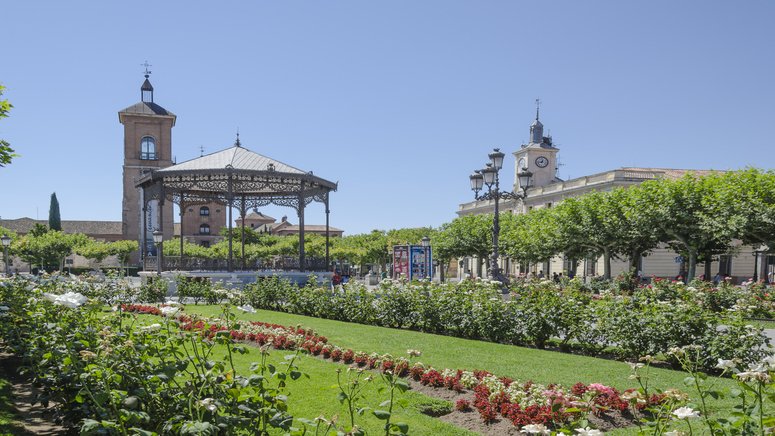 visita guiada alcala de henares