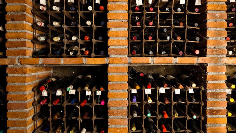 Tour viñedos El Penedès