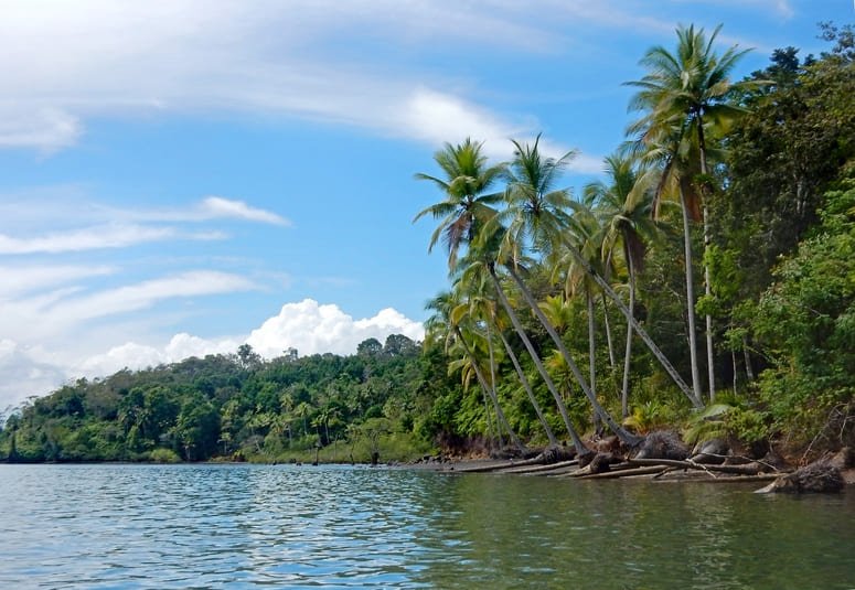 multiday kayak tour golfo dulce