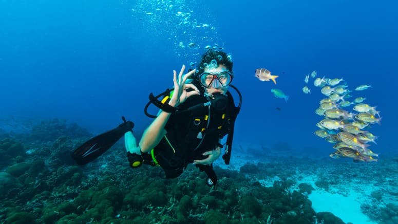 Bucea en Abades y descubre el fondo marino