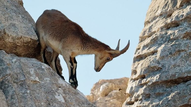 senderismo torcal antequera