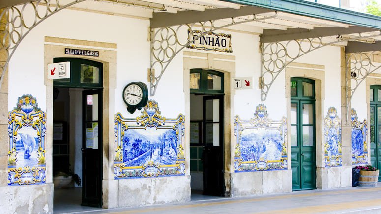 Excursión a la esencia vinícola 