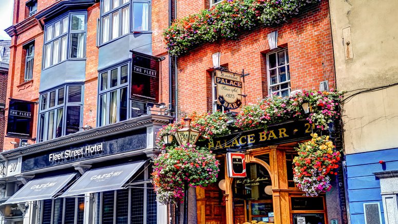 tour pubs irlandeses cata cerveza