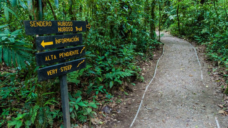 Ruta privada Bosque Nuboso de Monteverde
