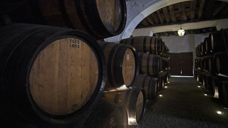 cata vinos bodega poças oporto