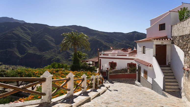 Vive Gran Canaria día