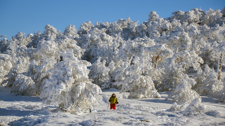 raquetas nieve navacerrada madrid