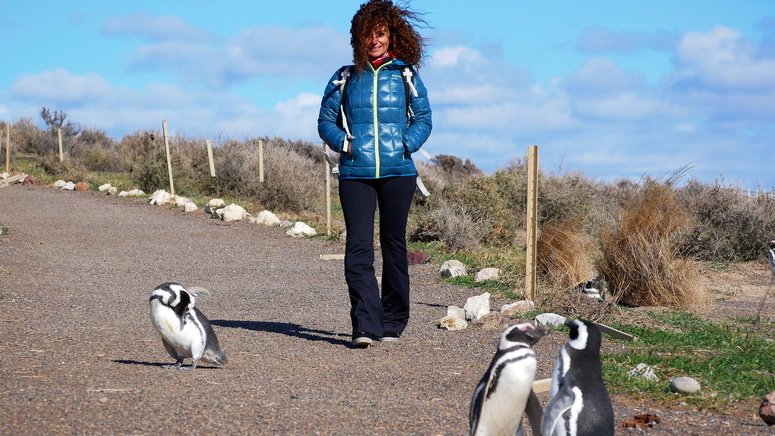 Avistamiento pingüinos Punta Tombo
