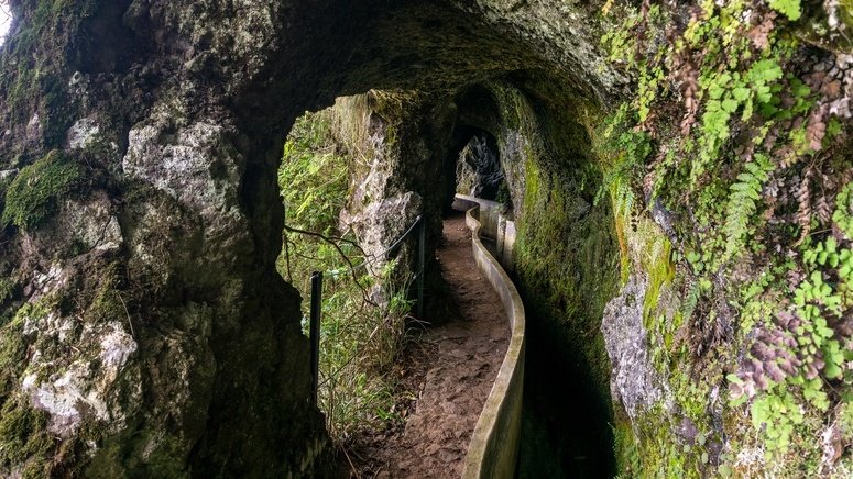 Trekking Ribeiro Frio Portela