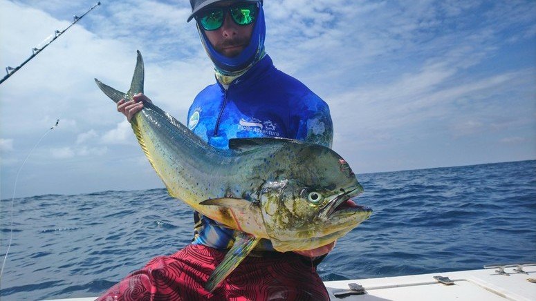 pesca isla cebaco
