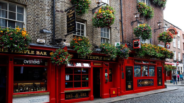 tour pubs irlandeses cata cerveza