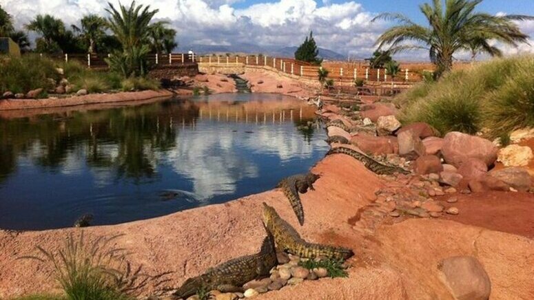 Excursión Crocoparc