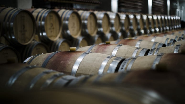 Cata vinos Lisboa