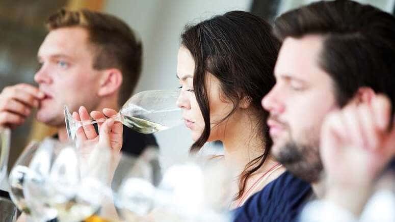 cata vino cosechas poças