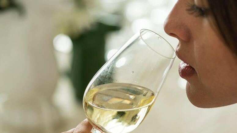 Cata exclusiva vinos argentinos