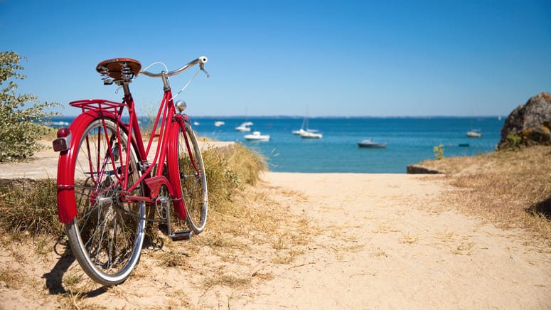 Tour bici paseo camello Dunas Maspalomas