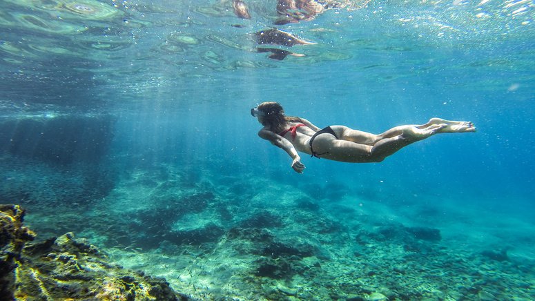 minicrucero snorkel Isla Lobos