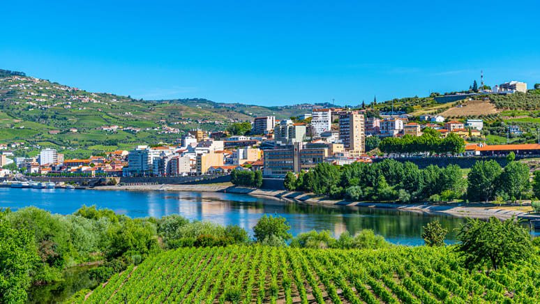 Excursión a la esencia vinícola 