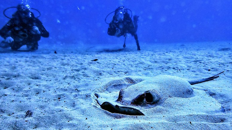 bautismo-buceo-lanzarote