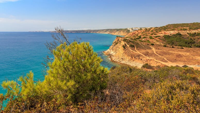 tour furgoneta vintage secretos naturales algarve