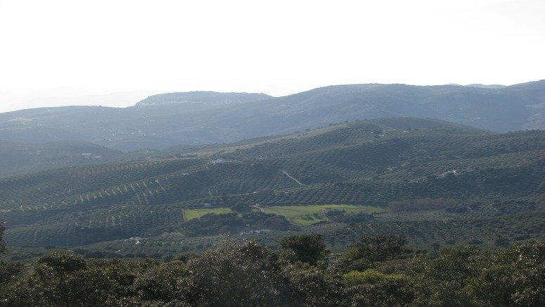 Excursión privada Algarinejo merienda