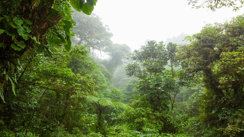 trekking cataratas el tigre