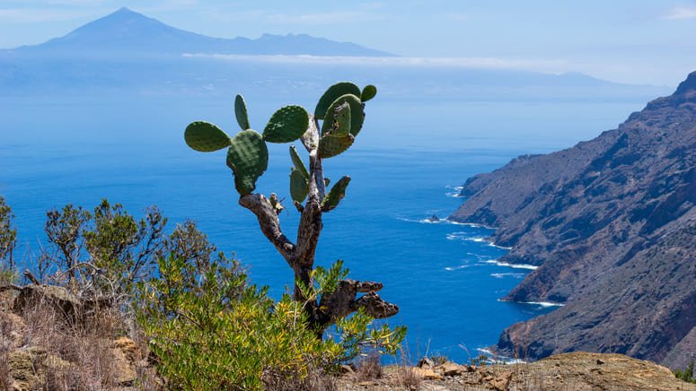 Tour isla Gomera