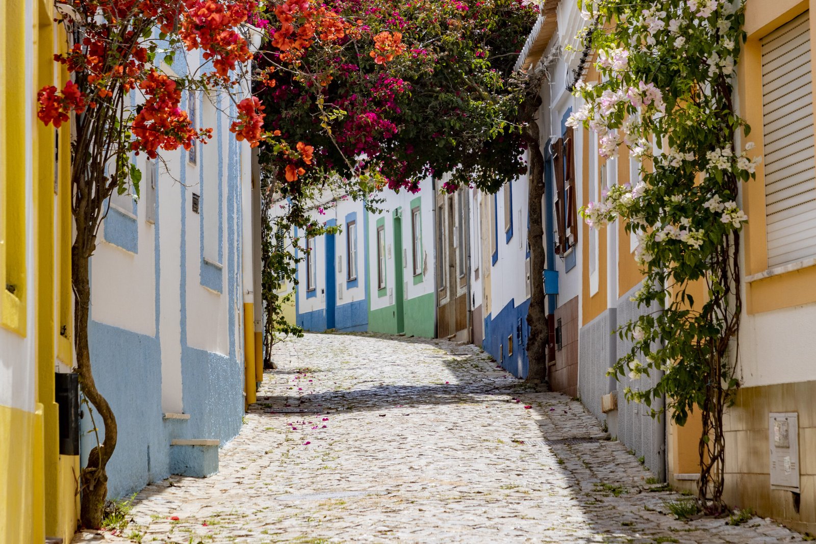 excursion patrimonio algarve furgoneta vintage