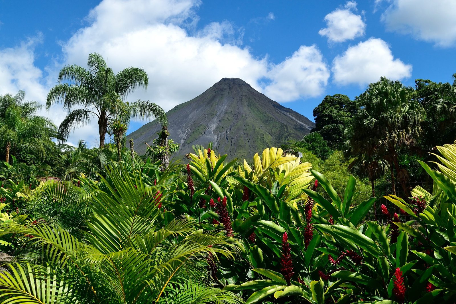 Excursión Volcán Arenal aguas termales Tabacón