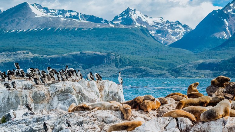 Parque Nacional Tierra Fuego paseo barco Ushüaia 