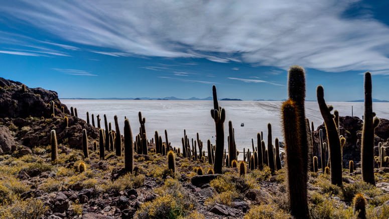 Excursión de 3 días al Salar de Uyuni y las lagunas
