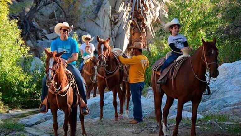 Paseo caballo Los Cabos