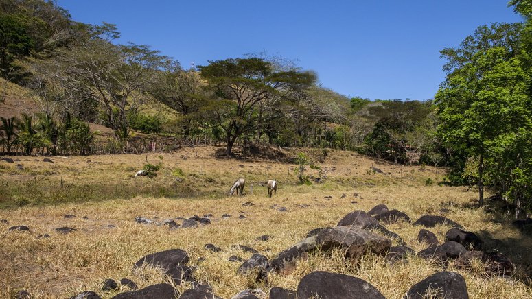 Tour privado caballo Monteverde