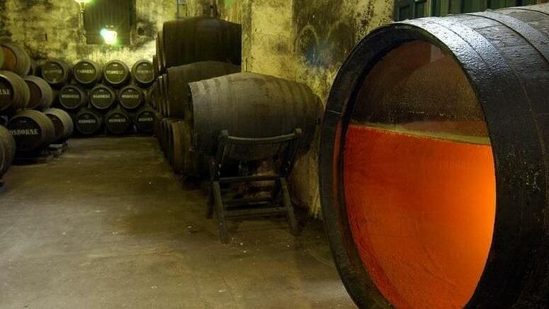 Visita bodega familiar cata E Puerto Santa María