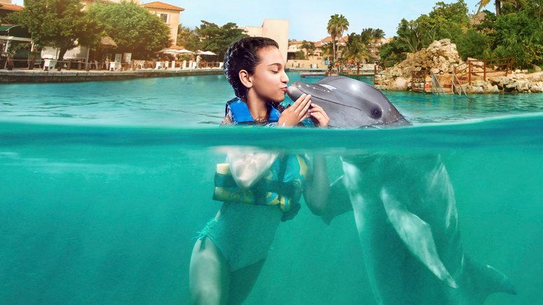 Nada delfines Riviera Maya