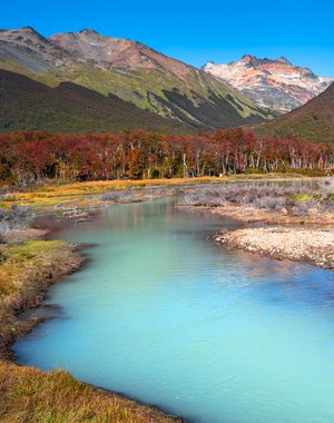 Excursión fin mundo Parque Nacional Tierra Fuego
