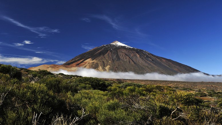 excursion teide avistamiento ballenas delfines