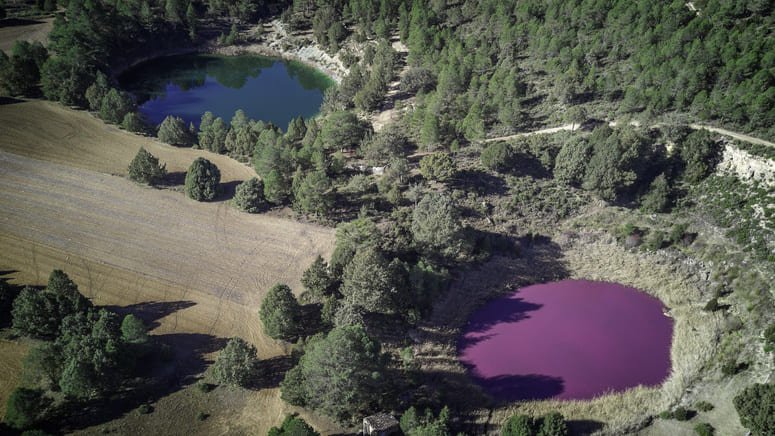 Torcas y lagunas Cañada del Hoyo