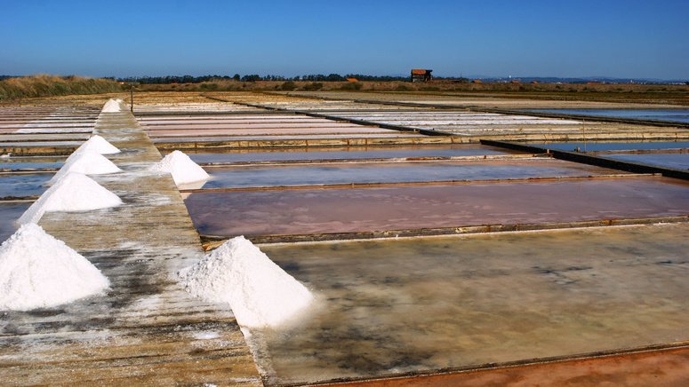 Excursión Figueira da Foz