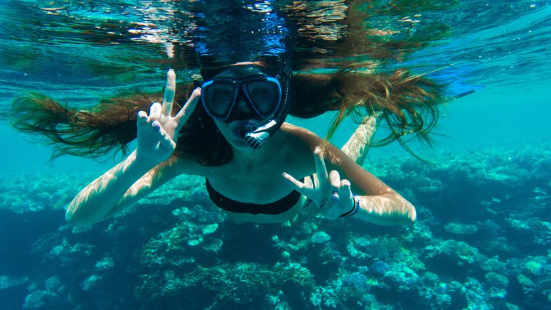 Snorkel Roca Pelícanos