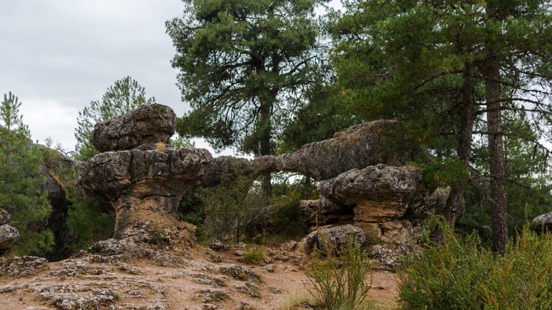 Tour Ciudad Encantada y río Cuervo