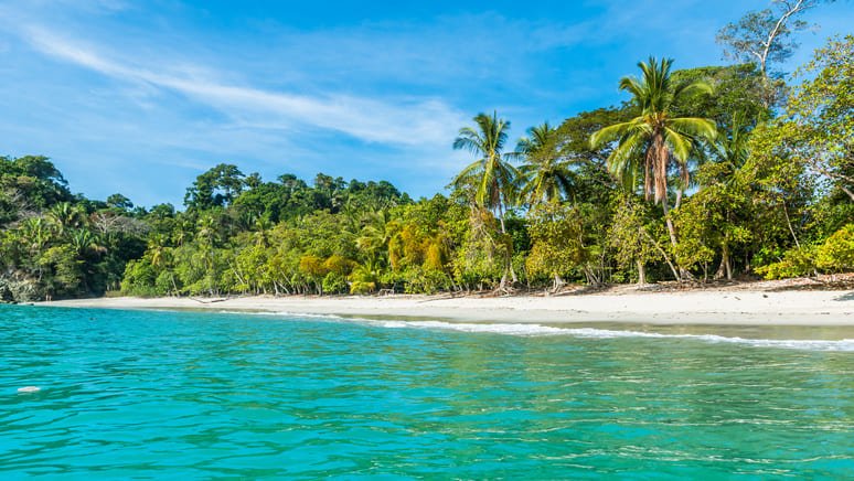 Excursión privada Parque Manuel Antonio